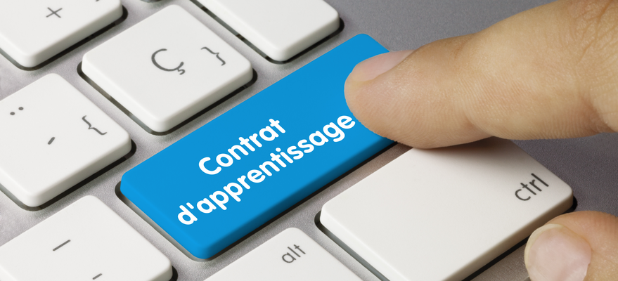 Ne tardez plus à embaucher un apprenti !